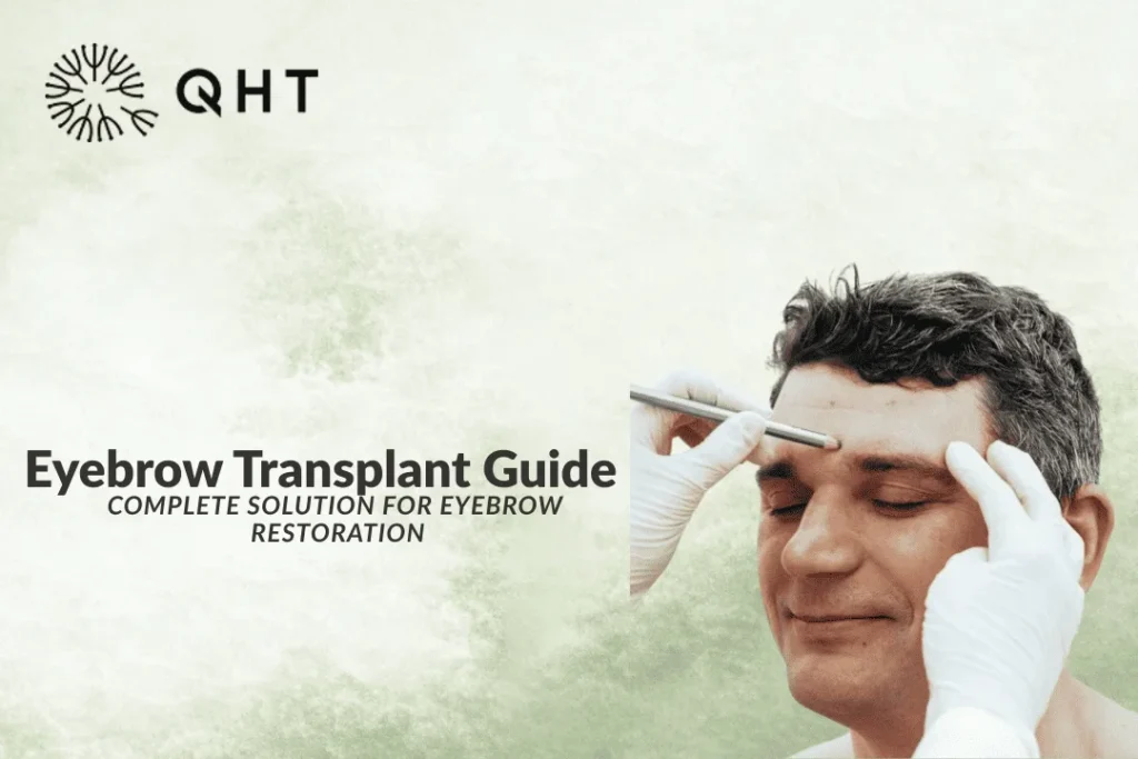 eyebrow transplant guide