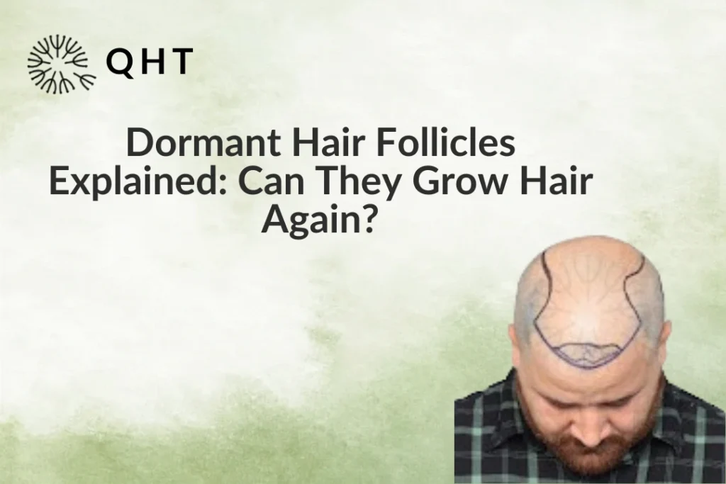 Dormant Hair Follicles